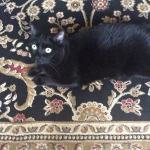 Meet your Posher, Joann